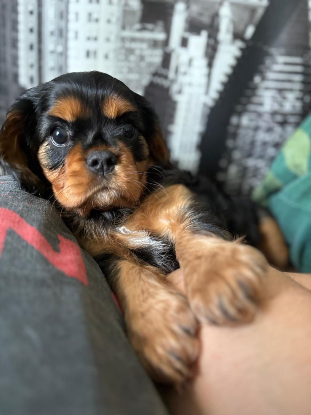 Arya attend sa famille pour la vie