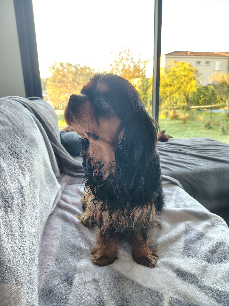 Nouvel arrivant dans la famille !